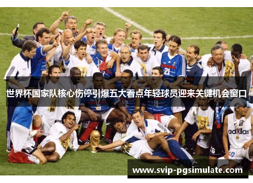 世界杯国家队核心伤停引爆五大看点年轻球员迎来关键机会窗口