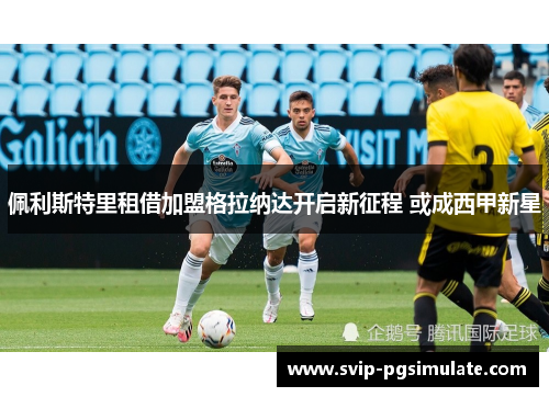 佩利斯特里租借加盟格拉纳达开启新征程 或成西甲新星