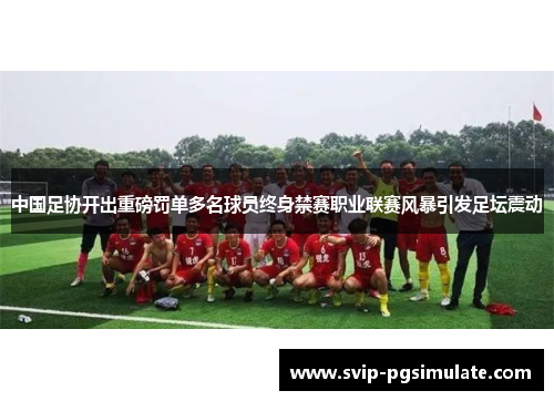 中国足协开出重磅罚单多名球员终身禁赛职业联赛风暴引发足坛震动 中国足协开出重磅罚单多名球员终身禁赛职业联赛风暴引发足坛震动