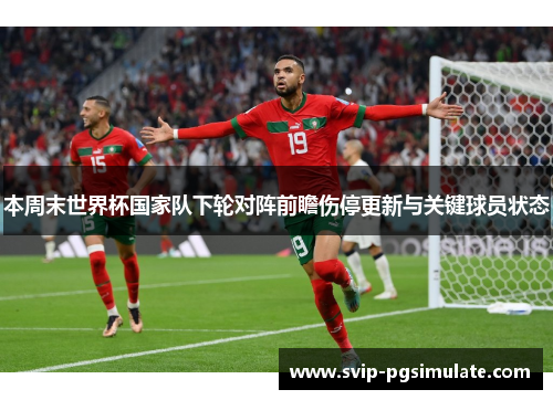 本周末世界杯国家队下轮对阵前瞻伤停更新与关键球员状态 本周末世界杯国家队下轮对阵前瞻伤停更新与关键球员状态